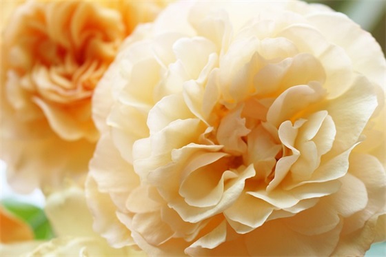 湖南卫视新闻大求真安全教育观后感