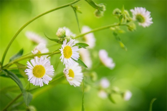 教师对学生的寄语