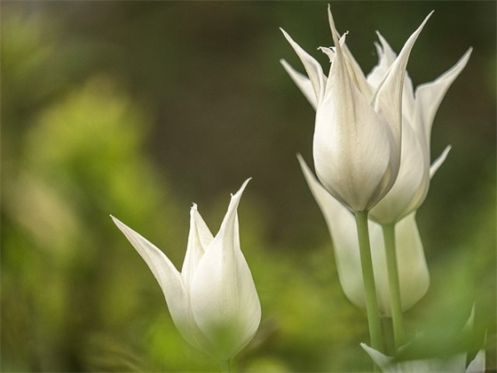 提高自己的个人能力的方法有哪些