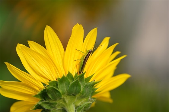 男生带忧伤的网名