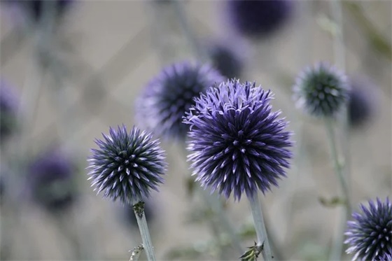 网名带美女表情的女生什么性格