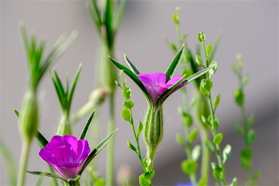 带光字的网名女