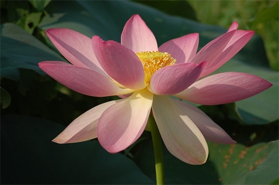 带万的儿子网名大全