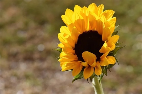 带正字的男孩帅气网名