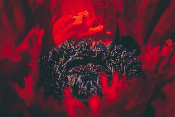 用带国字的网名