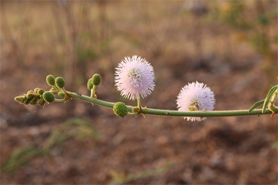 豪言壮语优美的句子