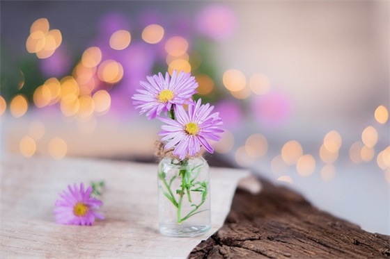 含蓄的表白句子200句