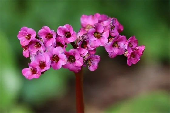 感恩感谢老师的句子或一段话30句