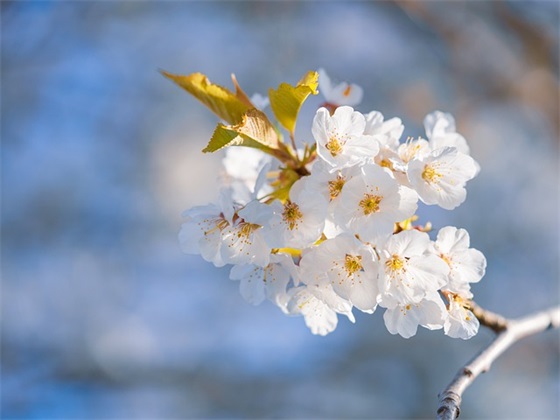 教师节朋友圈说说句子大全，教师节快乐微信说说经典