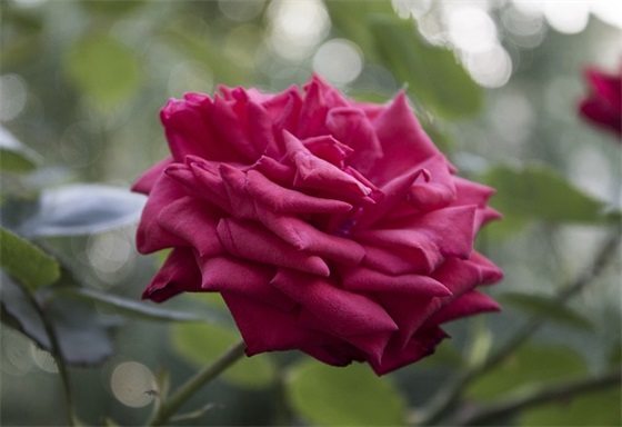 关于工作励志正能量句子23句