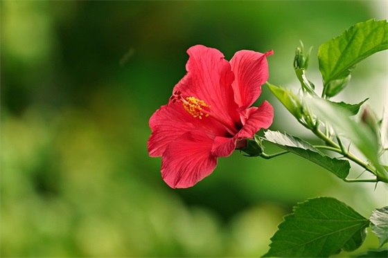 头疼心情不好发朋友圈的句子四十二条