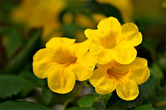 有关团结的句子通用200句