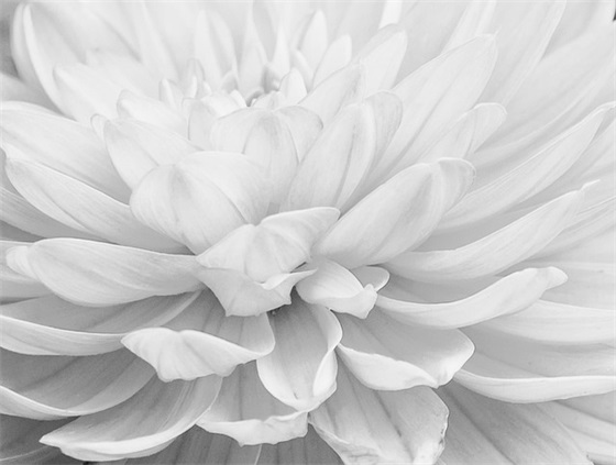 安娜卡列尼娜经典句子