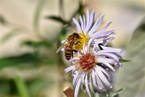 喝酒的幽默句子搞笑汇总28句