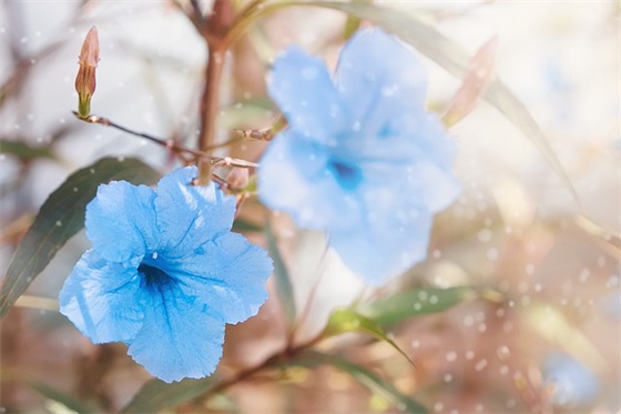 学会放下的句子192句