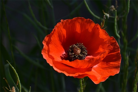 70周年校庆祝福语41句