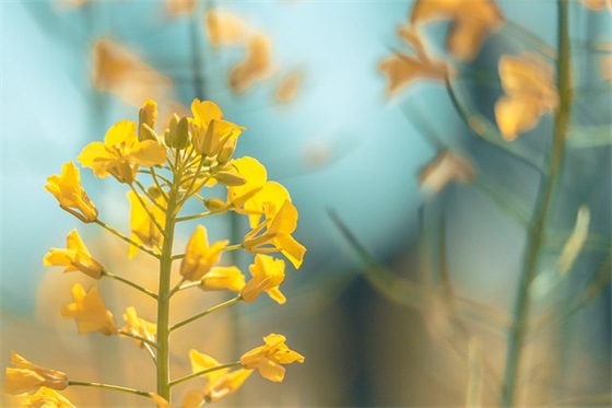 高考结束后祝福语 高考结束祝福