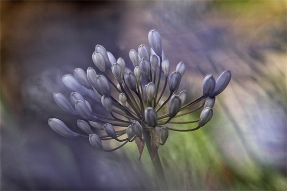 幼儿园生日快乐祝福语大全 幼儿园小朋友生日快