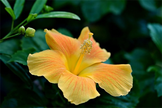 中秋佳节祝福语短86句 中秋佳节祝福语短86句