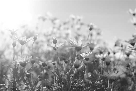 祝福老师的赠言 祝福老师的赠言