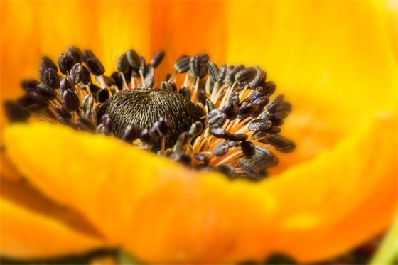 感情逐渐变淡的句子 长时间不联系感情变淡的句子 感情逐渐变淡的句子 长时间不联系感情变淡的句子