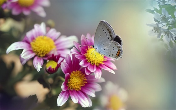 反思与自我批评的句子-69句 反思与自我批评的句子-69句