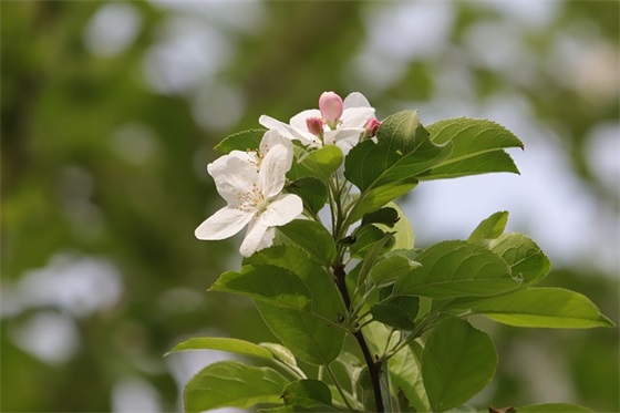 个性签名干净短句 个性签名唯美成熟稳重(精选83句)