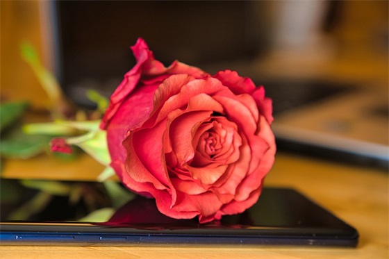 好听的古风句子