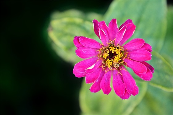 语文造句子一年级简单 语文造句子一年级简单