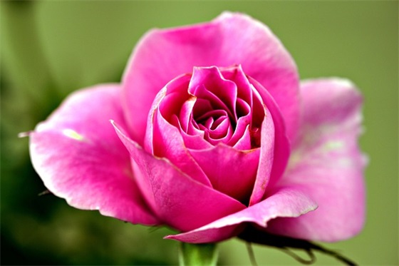 感恩感谢老公的句子 感恩有个好老公的朋友圈句子