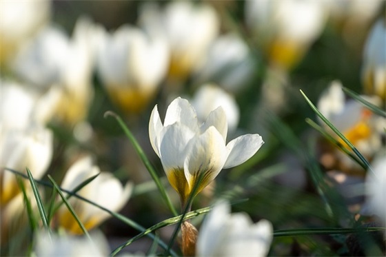 好友的生日祝福语