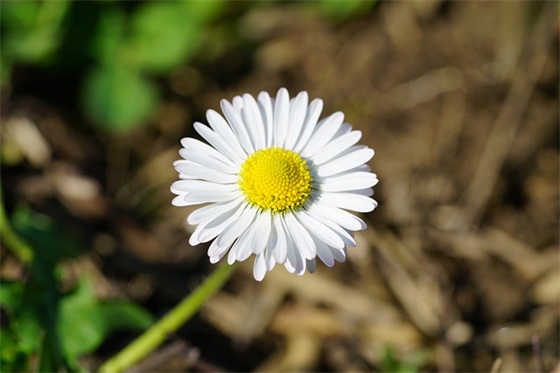 经典的愚人节祝福语句子精选 愚人节祝福语 经典的愚人节祝福语句子精选 愚人节祝福语