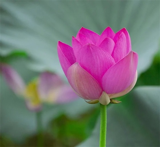 宝宝满一百天祝福语30句