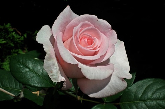 关于五四青年节祝福语正能量走心