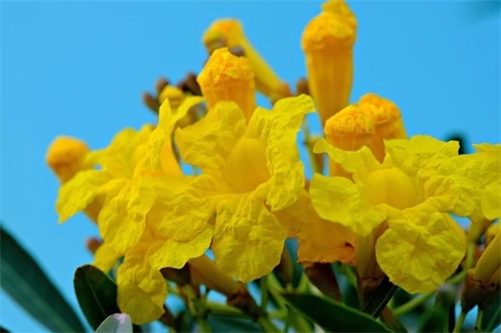 幽默搞笑的中秋节祝福语短信