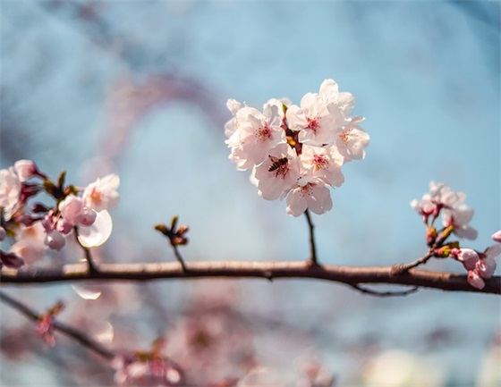 超拽帅气的qq网名(精选80个)