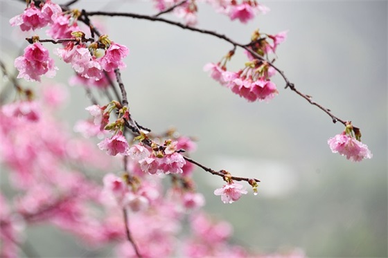 好听的英文微信昵称(共78个)