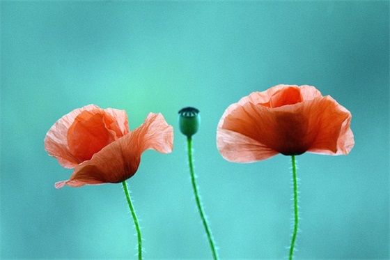 带有晴字的网名(共83个)