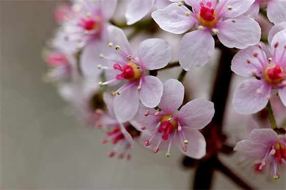 游戏名字简单干净两字（精选100个）