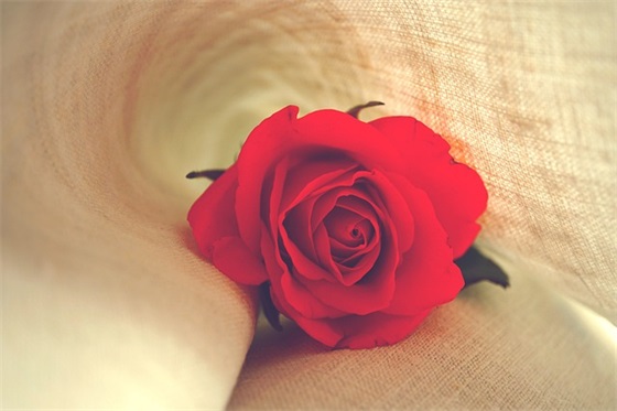 王者荣耀超甜可爱的女生游戏名字