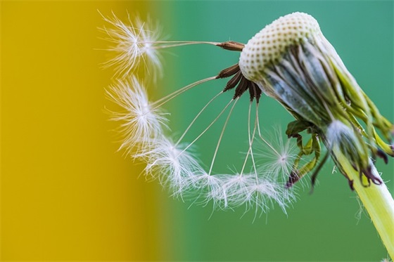 好听的吃鸡游戏名字大全