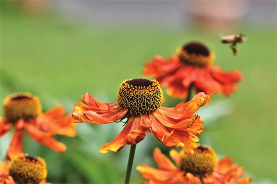 男生游戏名字大全