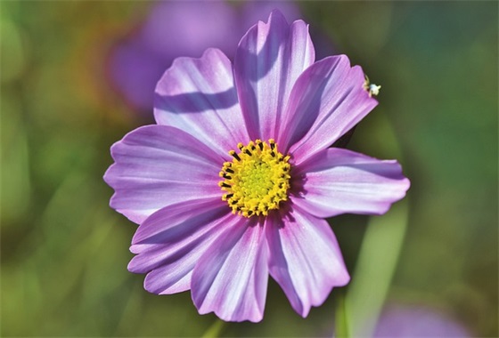 发给病人的祝福语 发给病人的祝福语简短