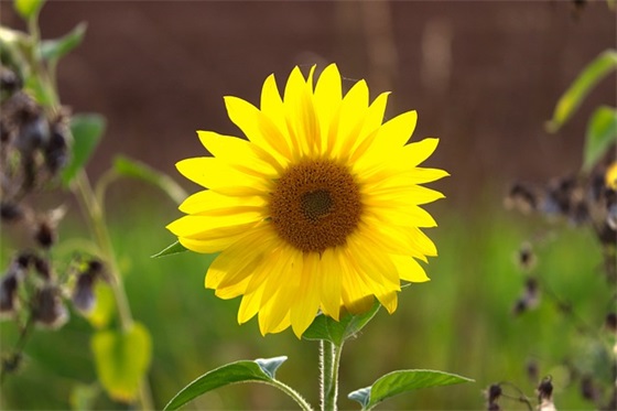 2026年朋友买车祝福语37句 2026年朋友买车祝福语37句