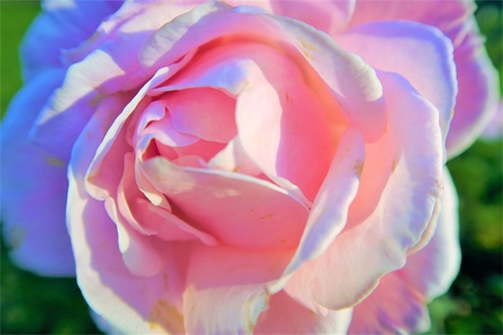 祝长辈新年快乐的祝福语和长寿词