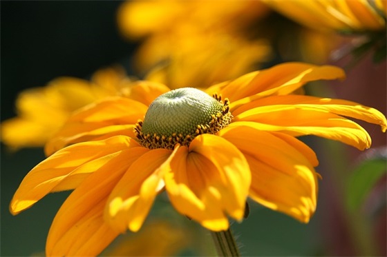 三十而立生日祝福语简短