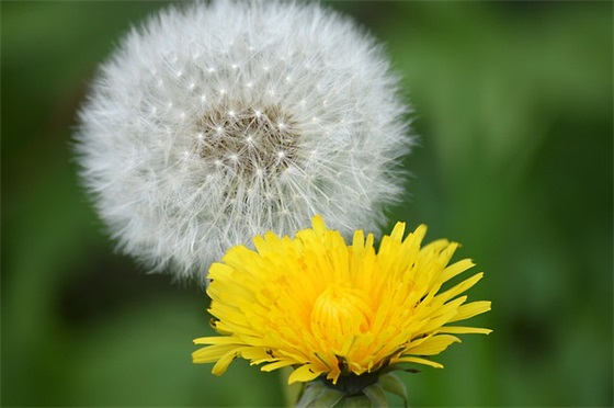 给上学侄女的祝福语 给侄女的新年祝福语