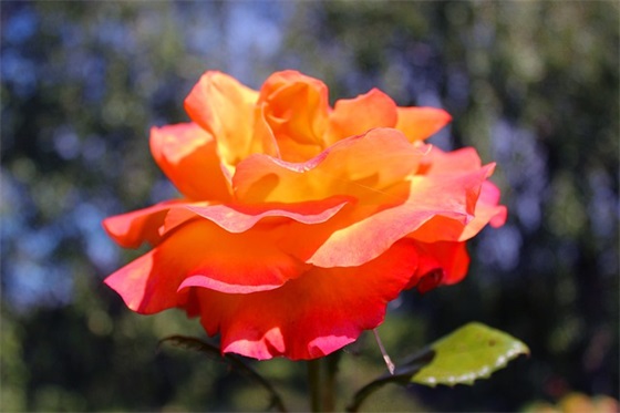 精选的朋友之间日常祝福语大全 精选的朋友之间日常祝福语大全