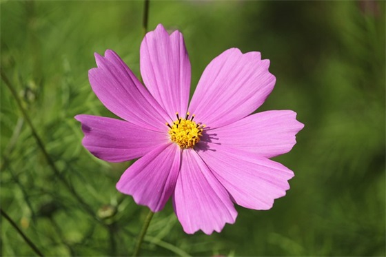 2026年企业年会祝福语大全 企业祝福语 2026年企业年会祝福语大全 企业祝福语