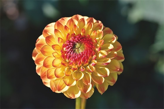 2026年祝福自己的话 2026年祝福自己的话